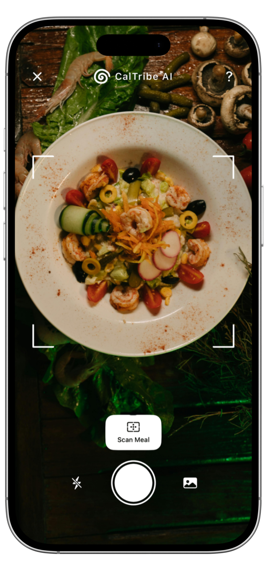 CalTribe AI meal scanner screen showing instant calorie and macro breakdown from a food photo
