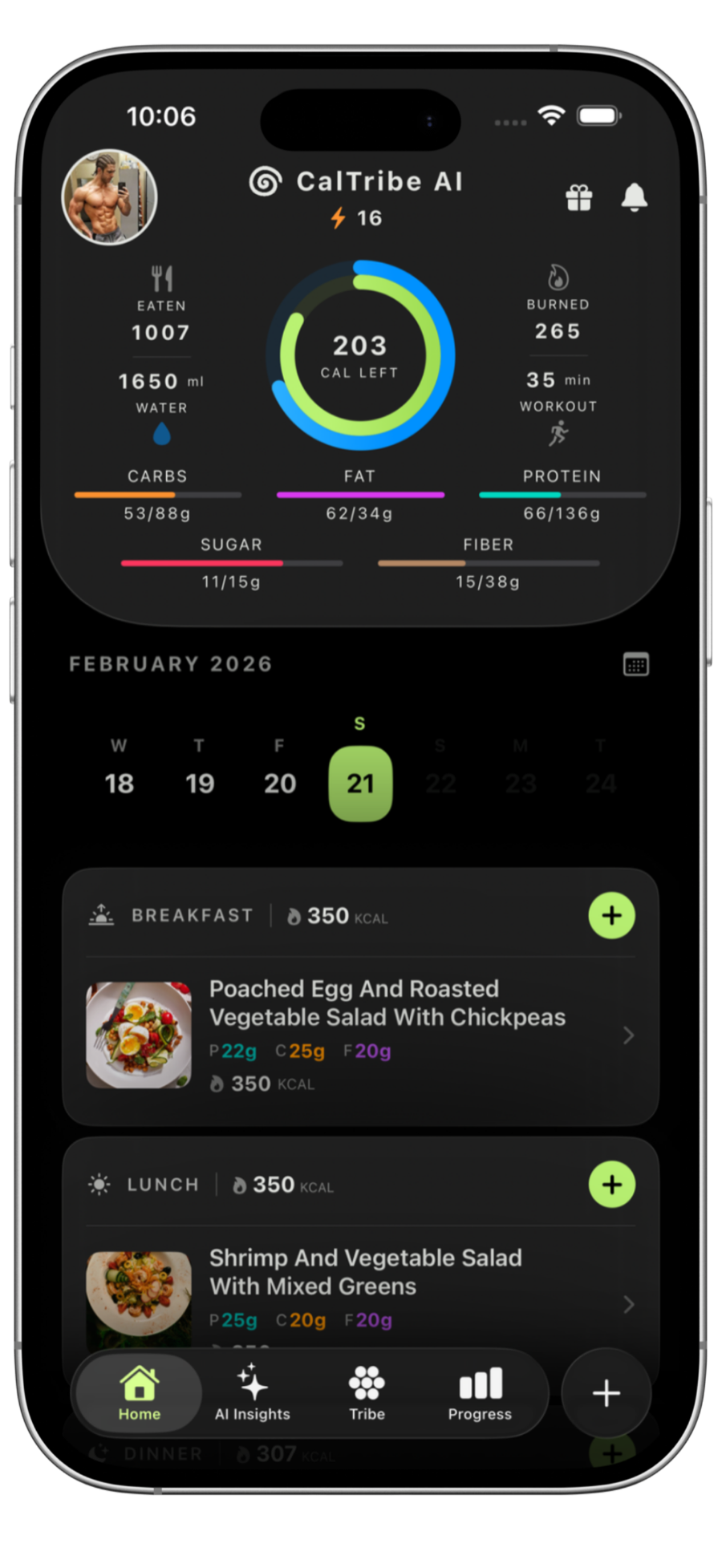 CalTribe daily nutrition tracking dashboard with calories, protein, carbs, and fat